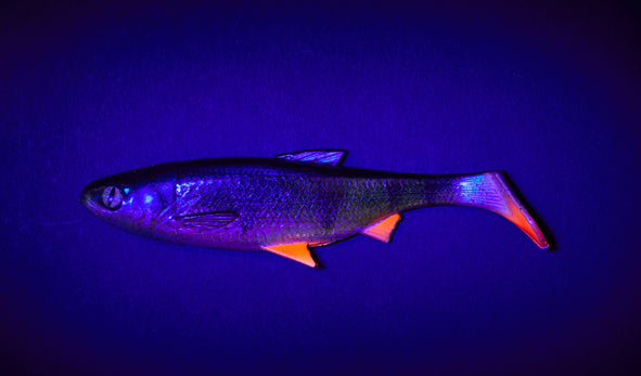 Balzer Fake Shad UV 16cm 41g