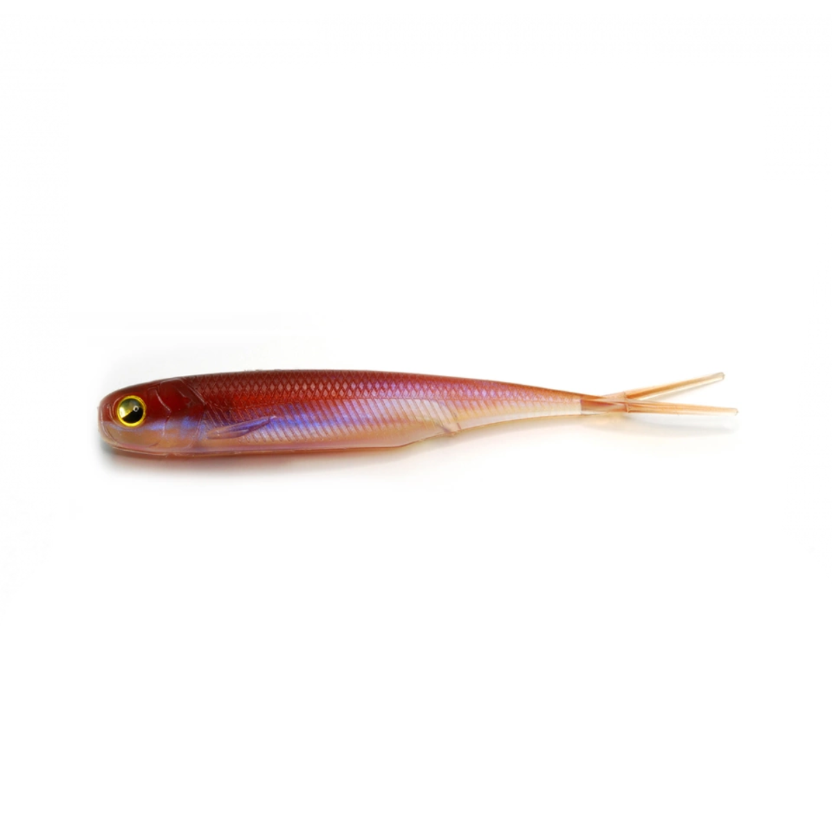 RAID FISHROLLER 10.16cm 4in, 6-pack