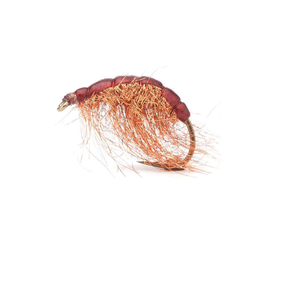 Kopperloppen Brown #6