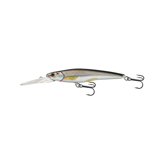 LIVETARGET Rainbow Smelt Jerkbait Deep Dive 7cm 3g