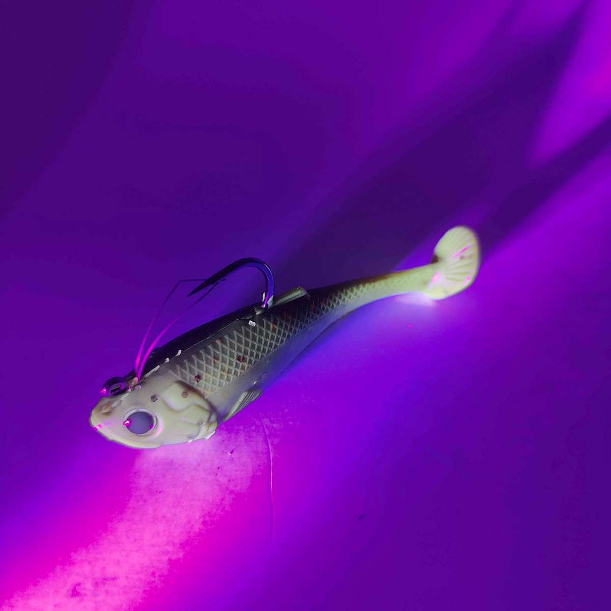 CUSTOM: Molix RT Flip Tail 7,6cm 10,5g - UV Motoroil