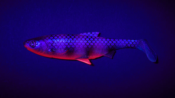 Balzer Fake Shad UV 16cm 41g