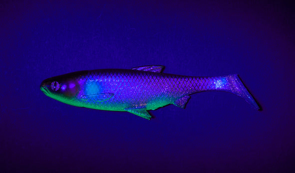 Balzer Fake Shad UV 16cm 41g