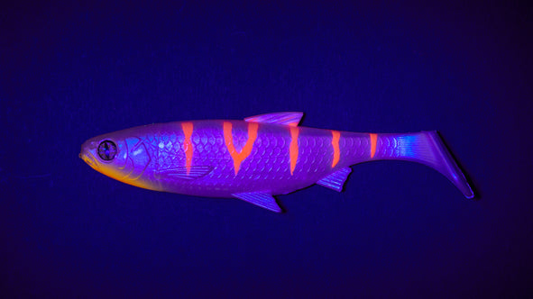 Balzer Fake Shad UV 16cm 41g