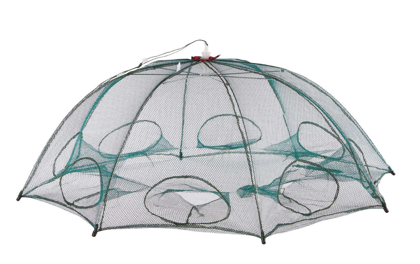 Balzer Mörtstuga (Paraplymjärde)