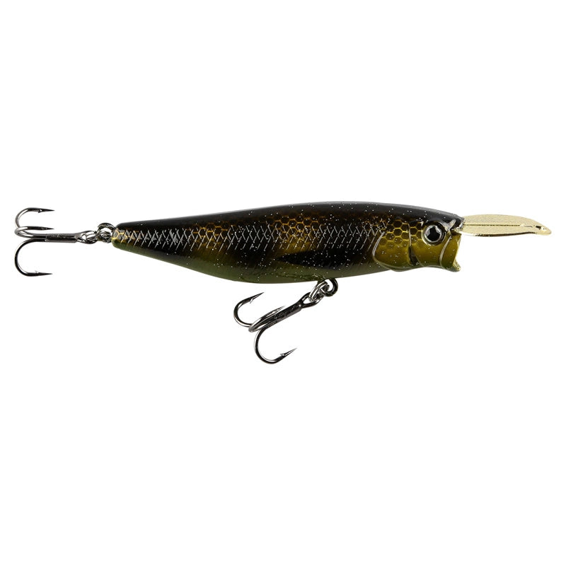IFISH Surface Dog