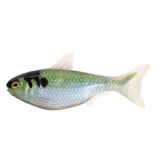 LIVETARGET Unrigged Shad 16,5 cm, 2-pack