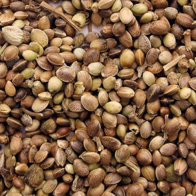 Madix Hampafrön 500g
