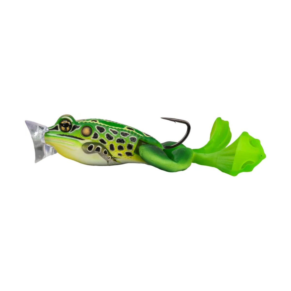 LIVETARGET Ultimate Frog Popper 2 1/2in 14.35cm 28g (1oz)