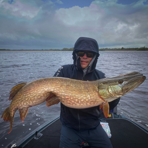 Mystery Box, Dohfos Gädda