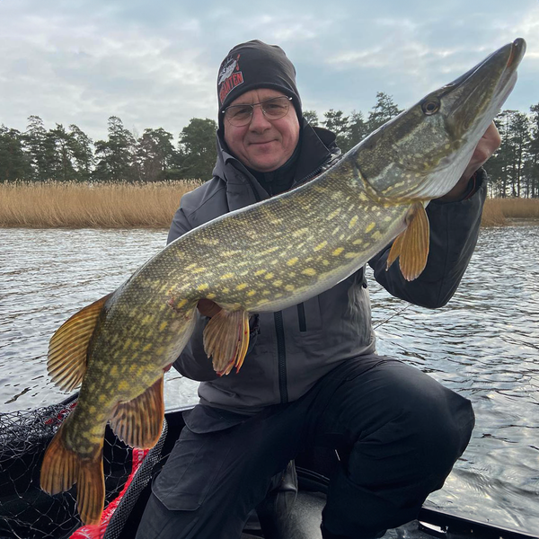 Mystery Box, Rostaren Gädda