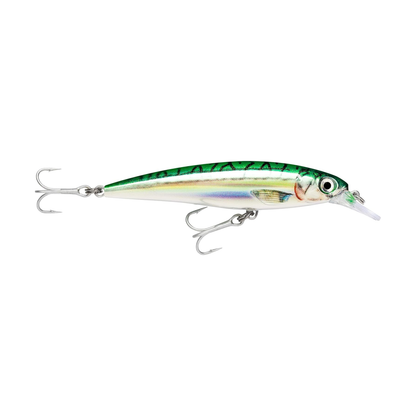 Rapala X-RAP Saltwater SXR12 Minnow 12cm 22g