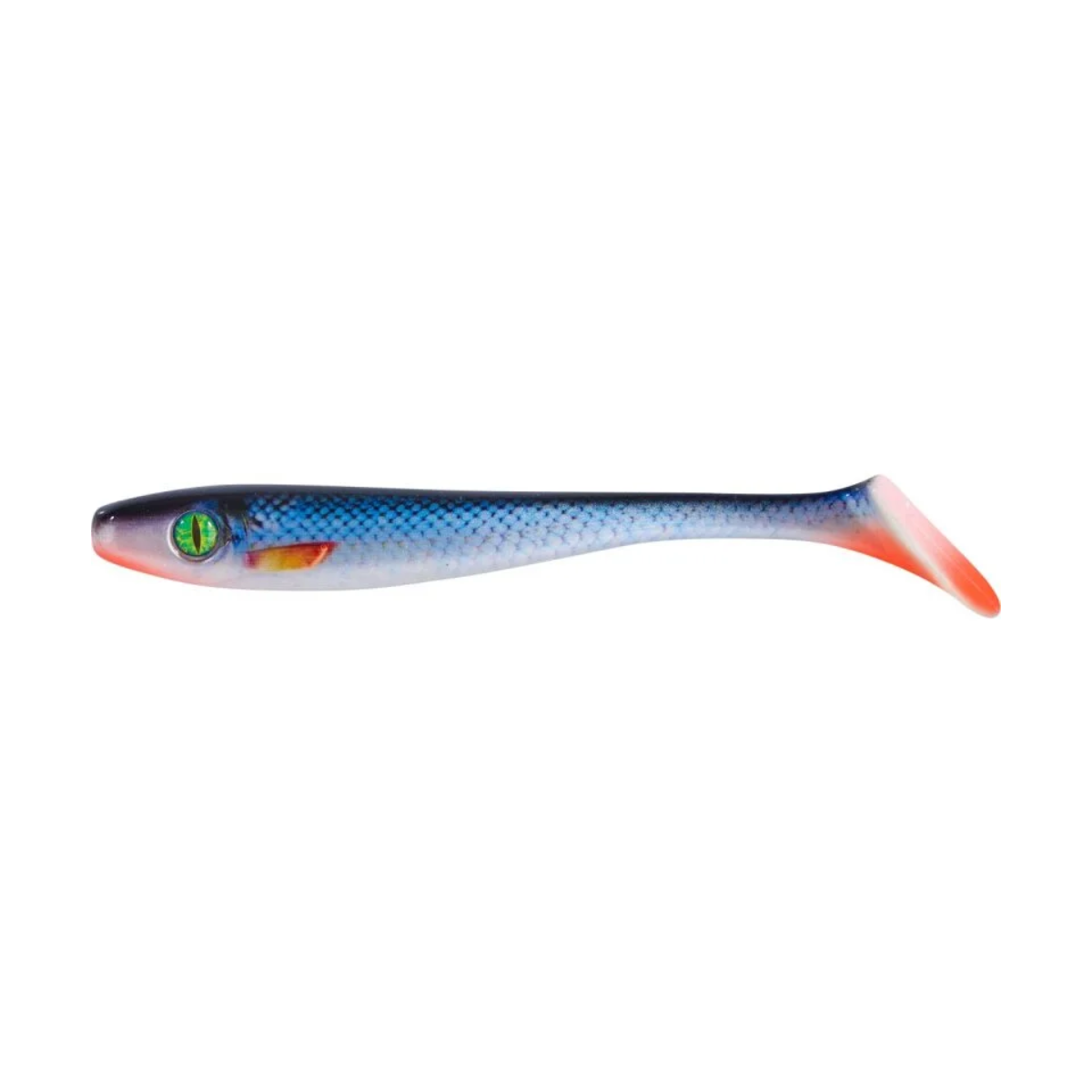 SHIRASU Pike Collector Shad 16cm, 1-pack