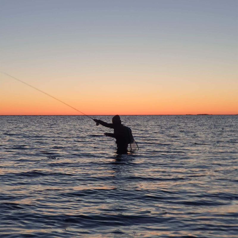 Fiskar efter havsöring ute på kusten i solnedgången
