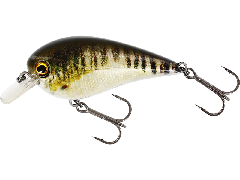 Westin BassBite 1.5 Squarebill 6cm 13g Floating