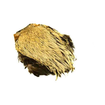 Indisk Tuppnacke