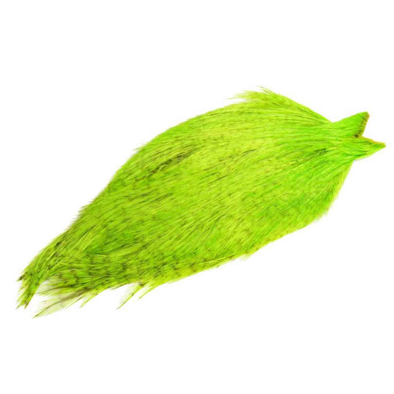 Whiting Coq de Leon Cape